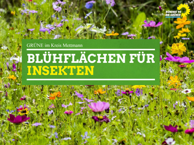 GRÜNE im Kreistag: Mehr Blühflächen für Insekten
